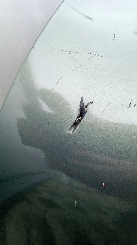 фото №9, Бампер задний vw golf v hb 5d ld6q