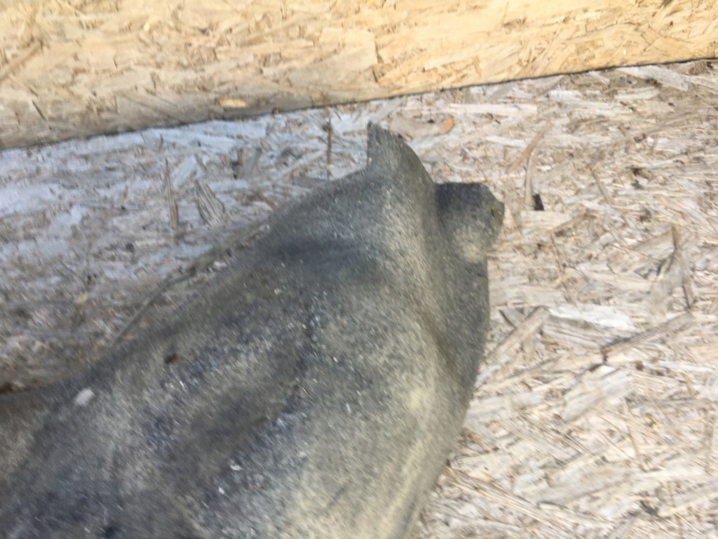 фото №3, Подкрылок задняя правое citroen c4 grand picasso