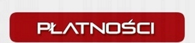 фото №9, Дверь левый задняя renault scenic rx4 00-03r