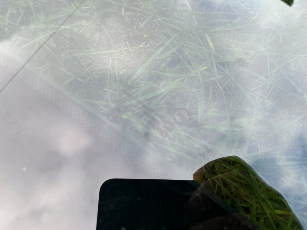 фото №3, Mini countryman f60 люк панорама 7397603