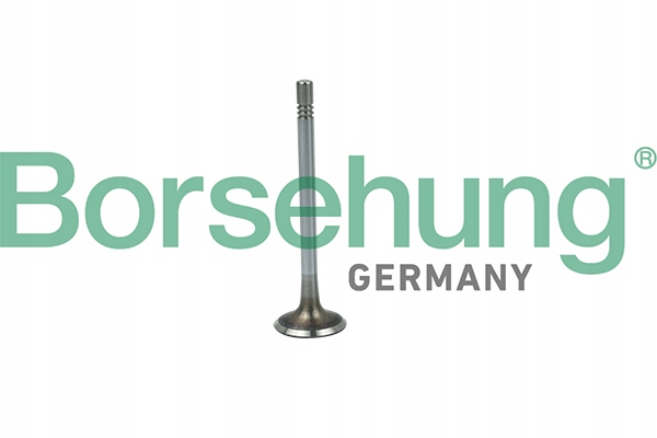 фото №1, Borsehung b19020 клапан впускний
