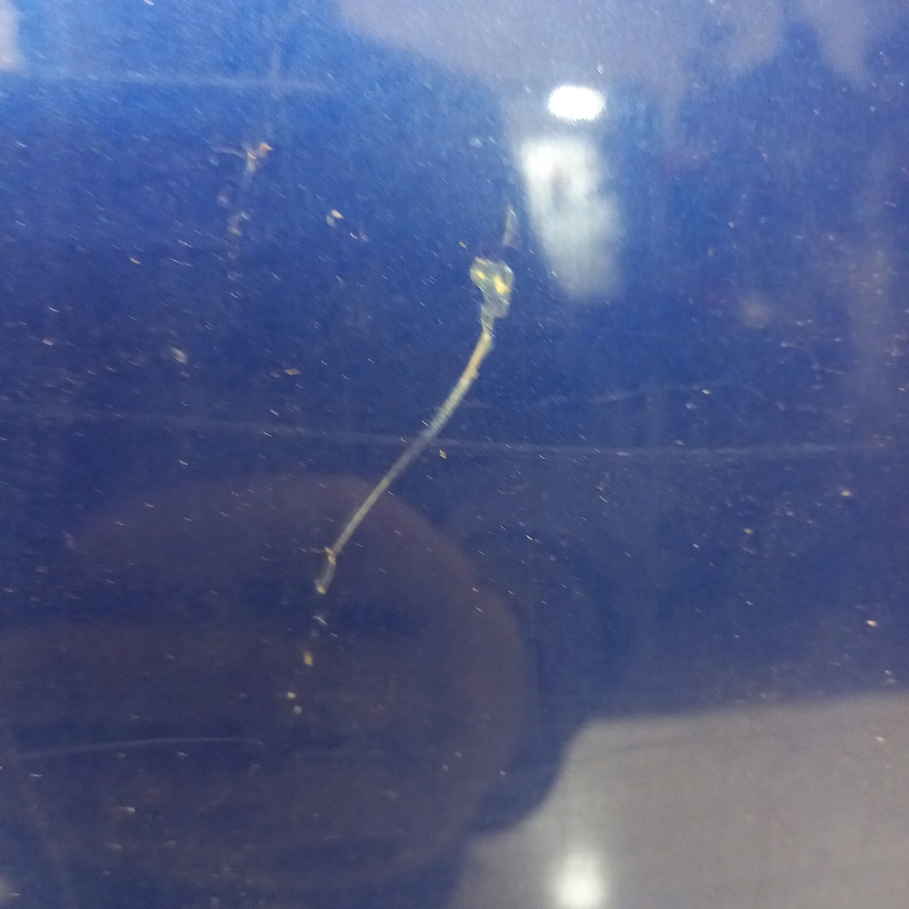 фото №2, Капот renault clio 3