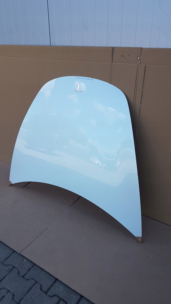 фото №4, Капот tesla 3