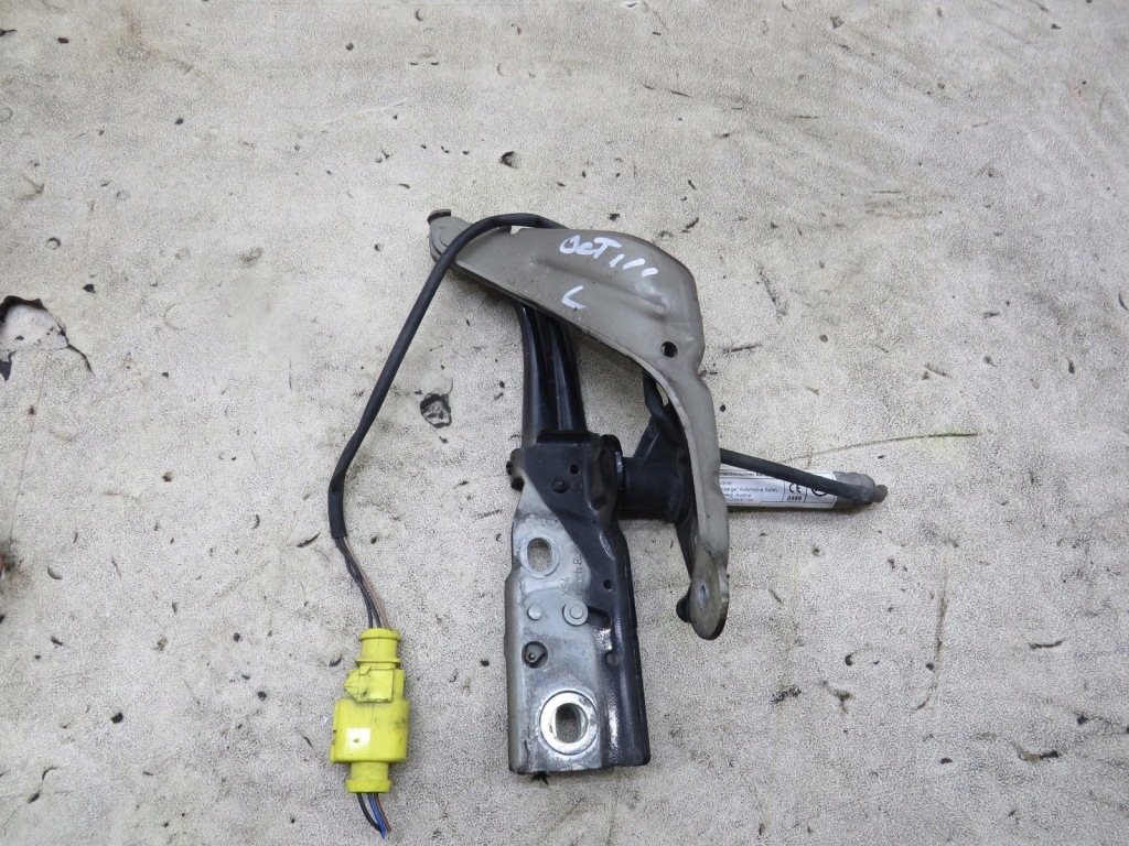 фото №1, Петля капот лівий патрон octavia iii 3