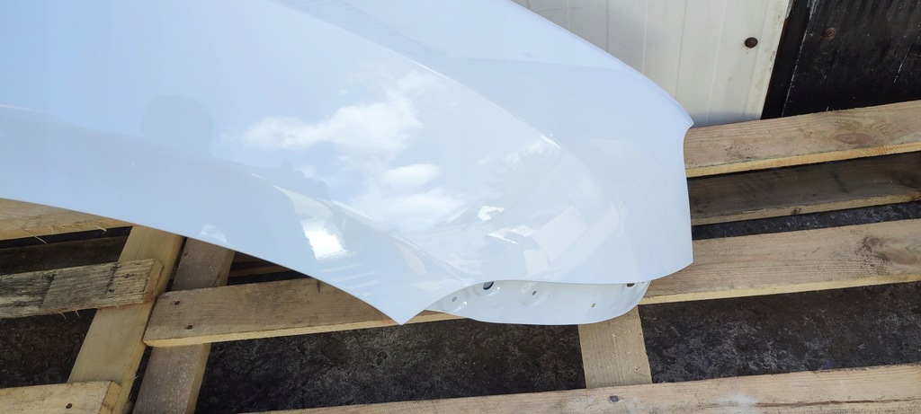 фото №12, Крила правий перед передній dacia duster i 1 hs 01.10-10.2017r лак ov369