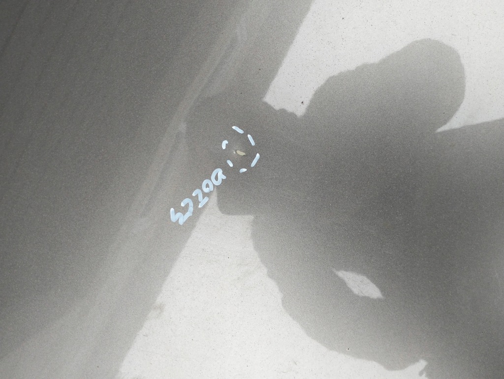 фото №7, Капот кришка двигуна kia carens iii 3 lata 2006-2012 оригінал лак im