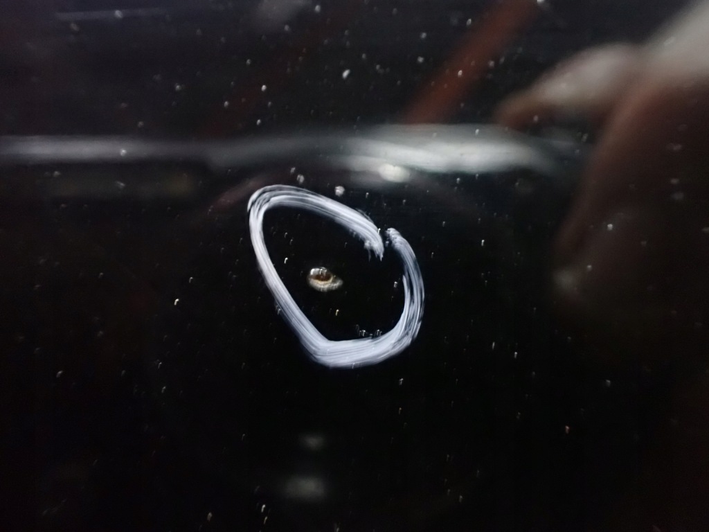 Капот audi a4 b8 avant 2008r 3.0 tdi европа  l8l8 lz9y 10361 Киев