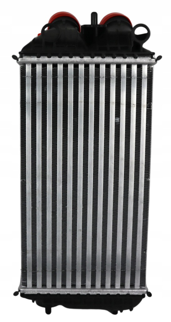 фото №3, Интеркулер fiat grande panda 2024 -