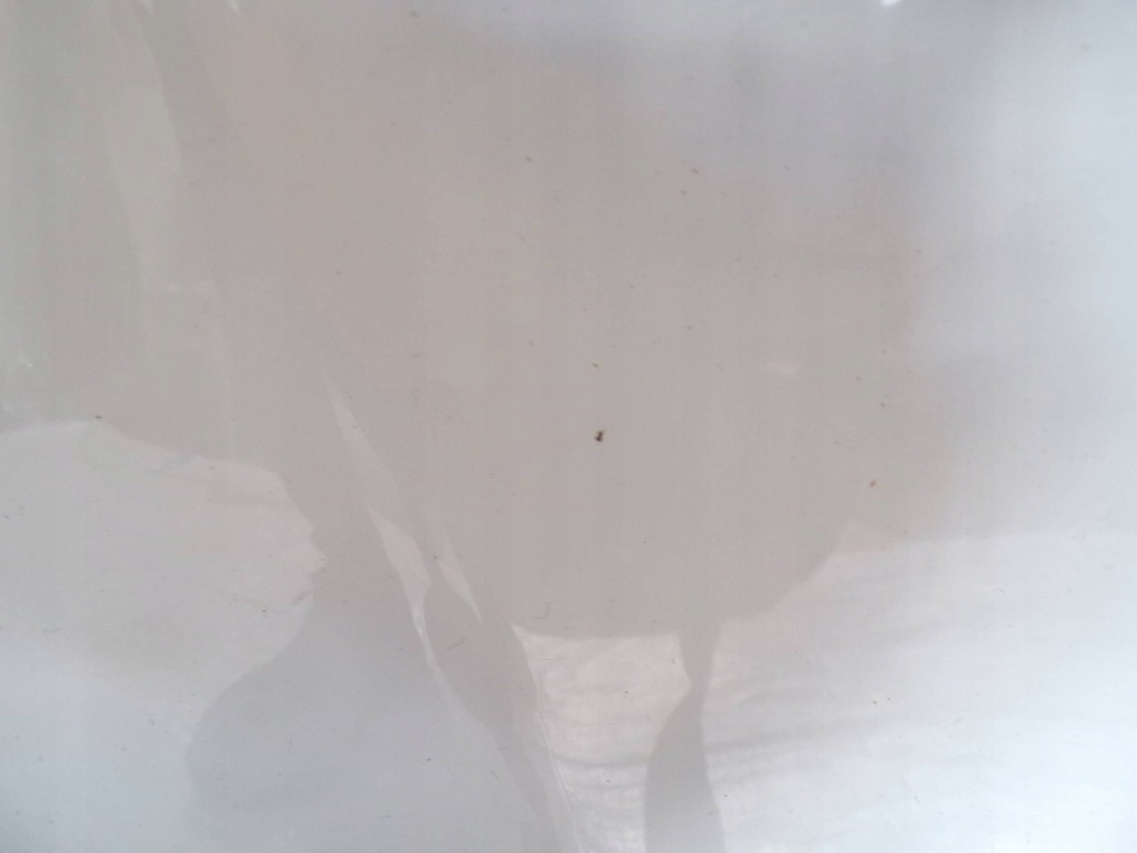 фото №9, Chevrolet trax кришка багажника задня задня багажника