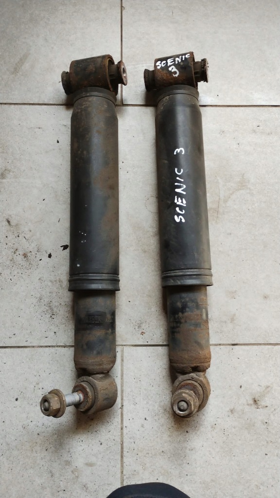 фото №1, Амортизаторы задняя renault scenic iii