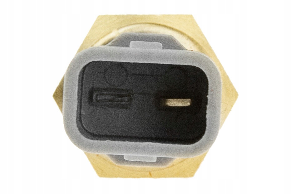 фото №10, Датчик температури wody