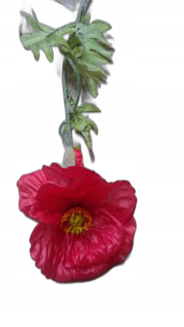 Купить Kwiat mak | inf82