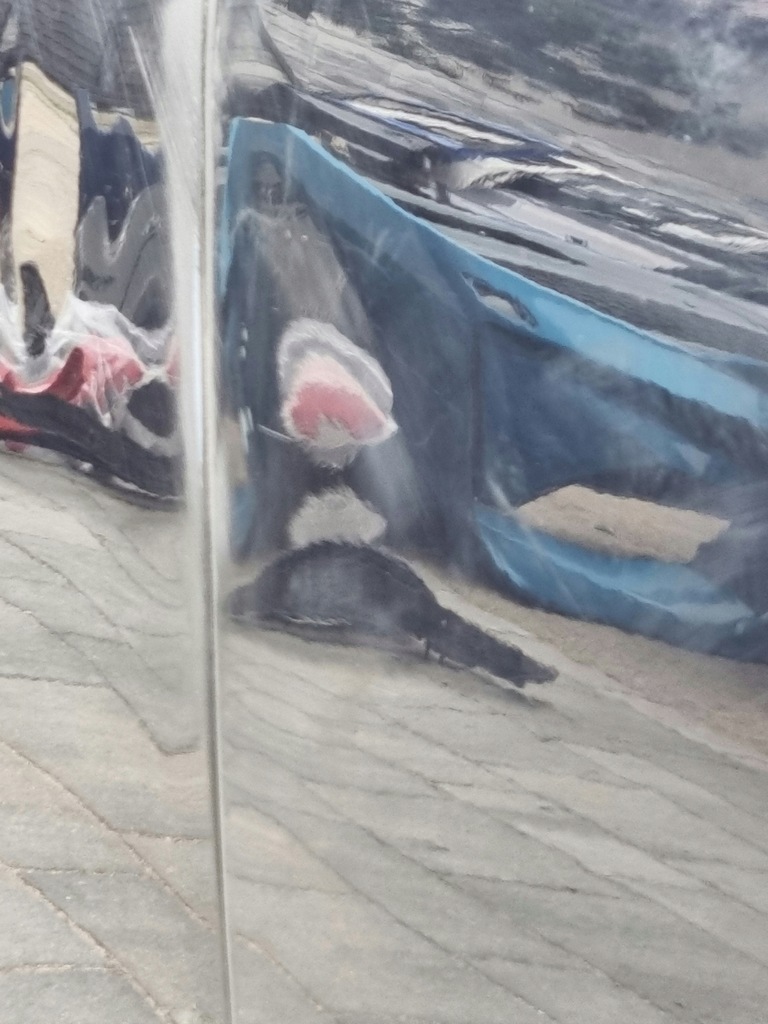 фото №8, Bmw 7 g11 g12 дверь правое перед передние