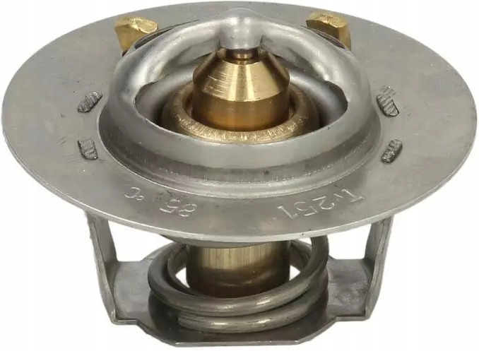 фото №1, Термостат, середина охолоджуючий thermotec d2is001tt