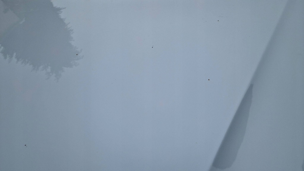 фото №8, Bmw 4 f36 grand coupe 14-21 капот кришка двигуна шумоізоляція a96