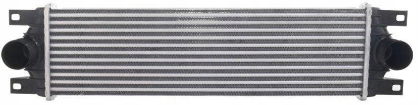 фото №1, Renault mascott 99-05 інтеркулер 5010382814