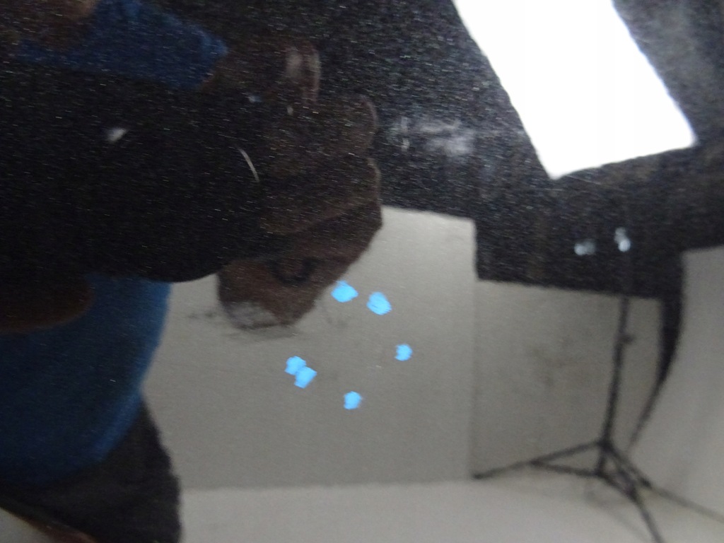 фото №8, Toyota c-hr chr lift дверь правое задняя 2020r