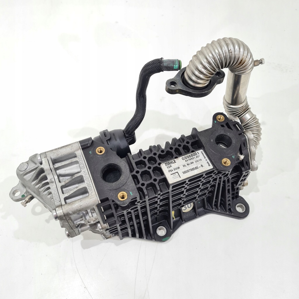 Купити Mahle egr psa dv5r 9808788580 gs988001