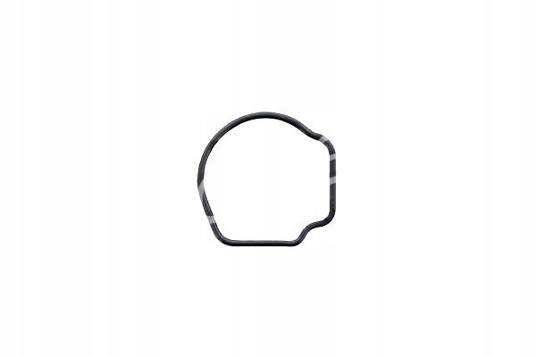 фото №1, Topran прокладка термостата жидкость охлаждающий opel agila combo tour