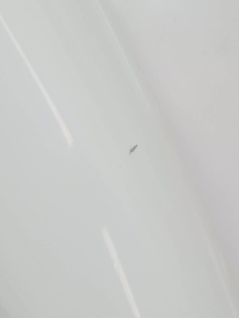 фото №7, Дверь правое перед белый lift fl fiat doblo ii 2009-