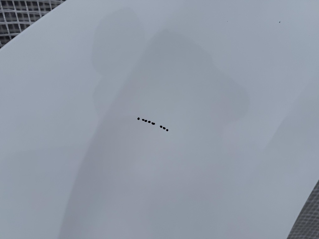 фото №3, Citroen jumpy iii expert proace scudo zafira крыло передний правый