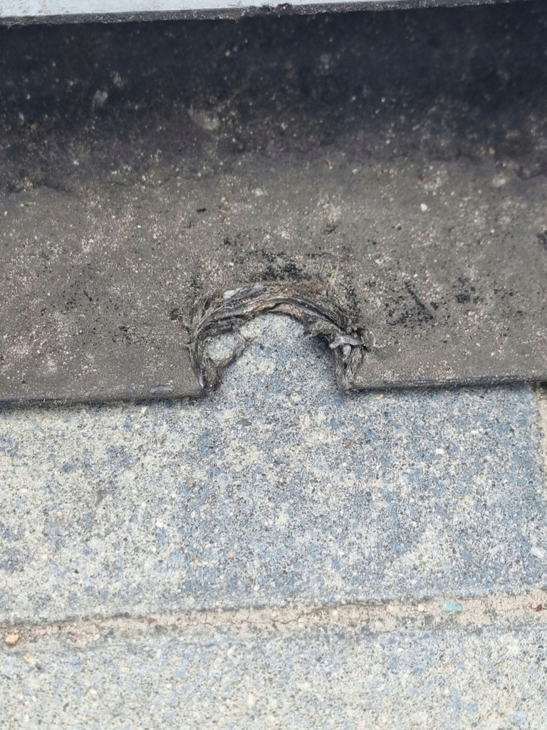 фото №9, Toyota prius plus бампер передній перед