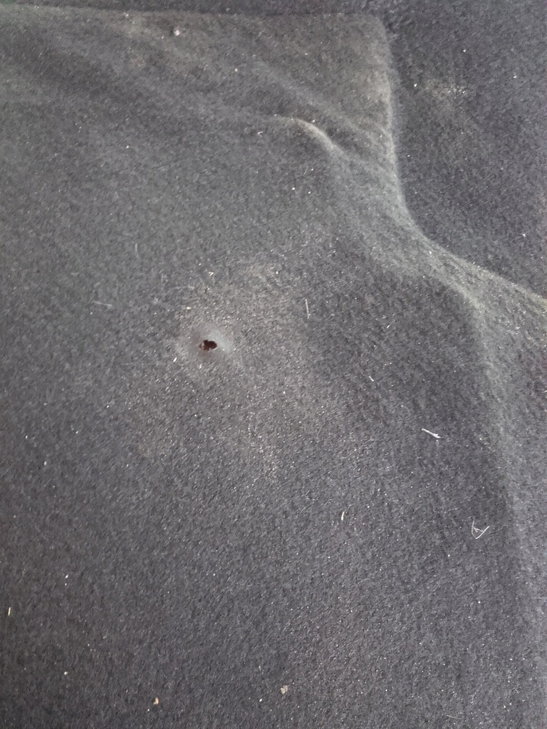 фото №6, Ford focus mk4 килимок обшивка багажника hb