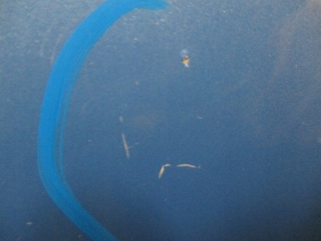 фото №7, Citroen c3 iii двері праве задні eyjc