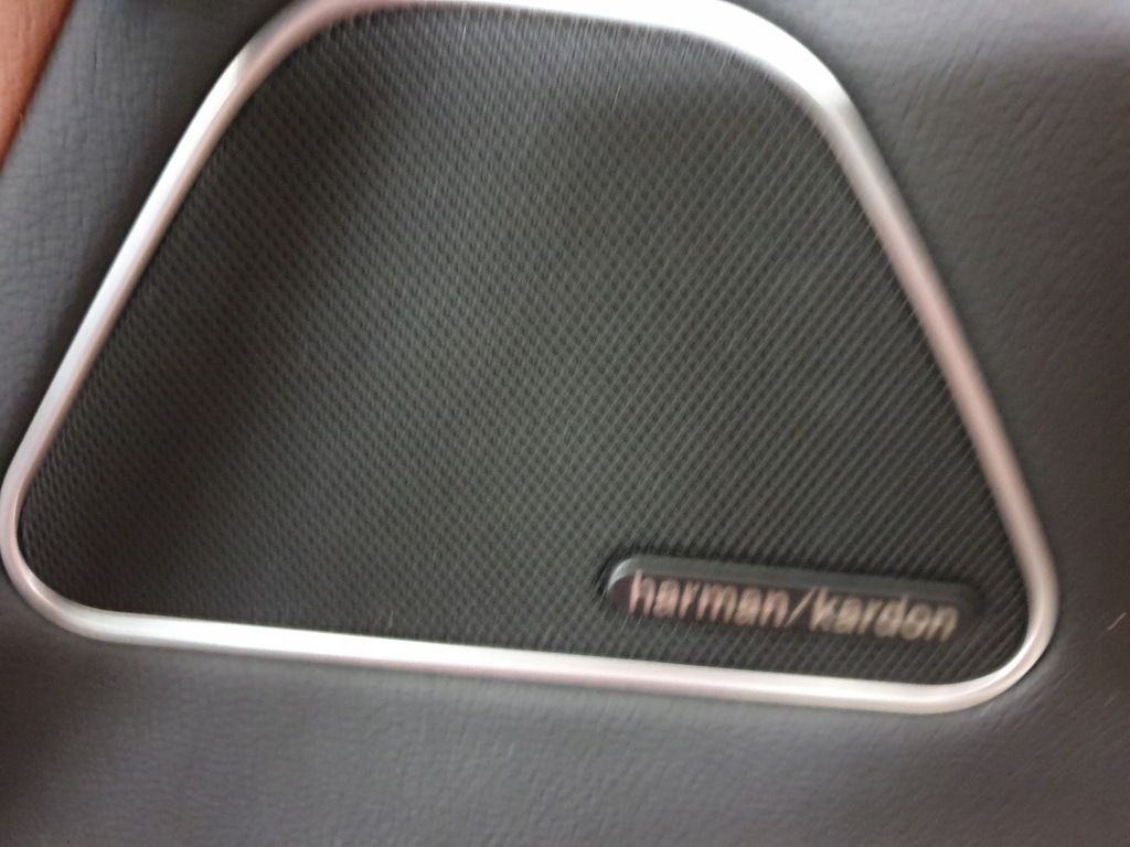 фото №4, Masrati levante обшивка дверь левый перед коричневая