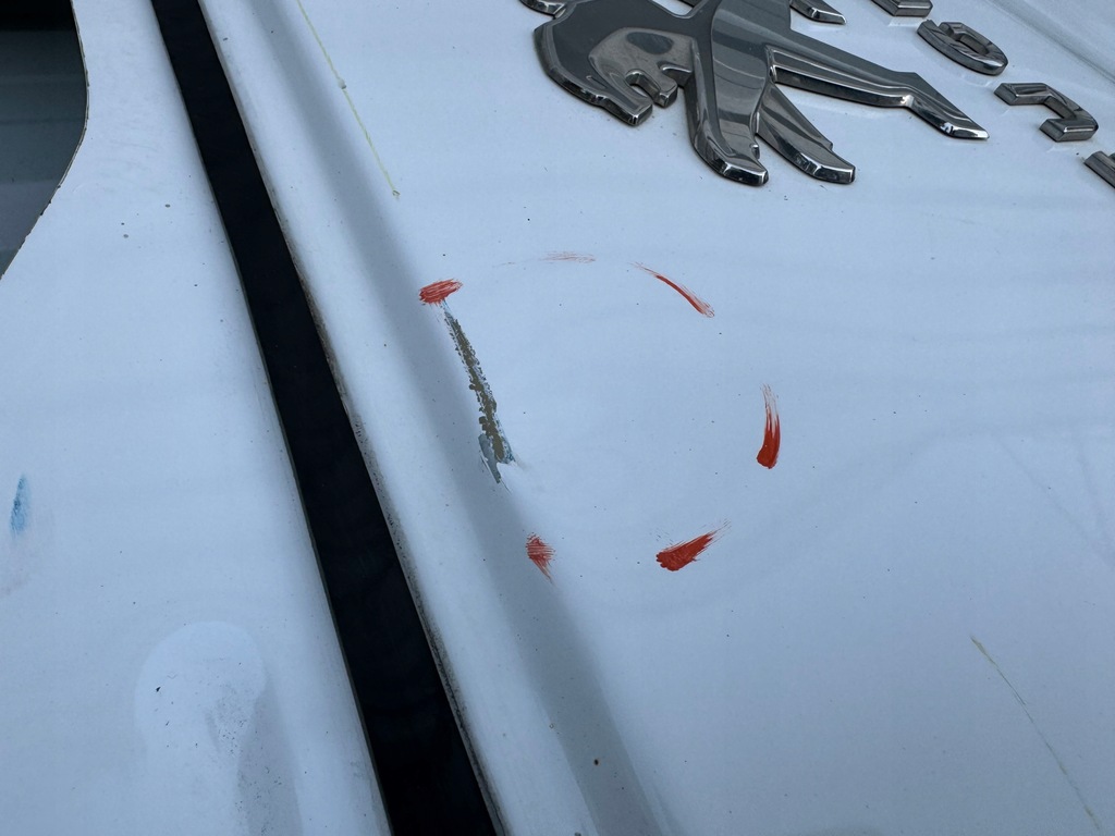 фото №15, Peugeot expert iii 3 jumpy proace 16r- дверь правый задняя правое задние