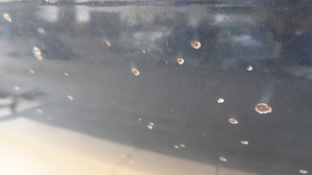 фото №8, Toyota avensis verso t22 капот 1e2