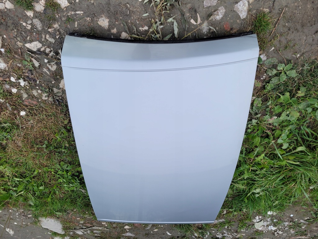 фото №4, 307 cc cabrio дах ezrc element