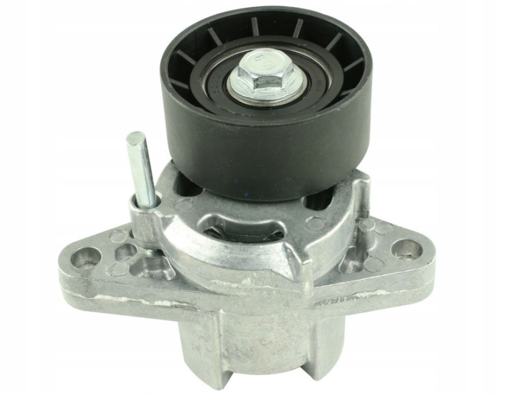 фото №1, Натяжитель ремень micro-v do renault laguna ii 1.6