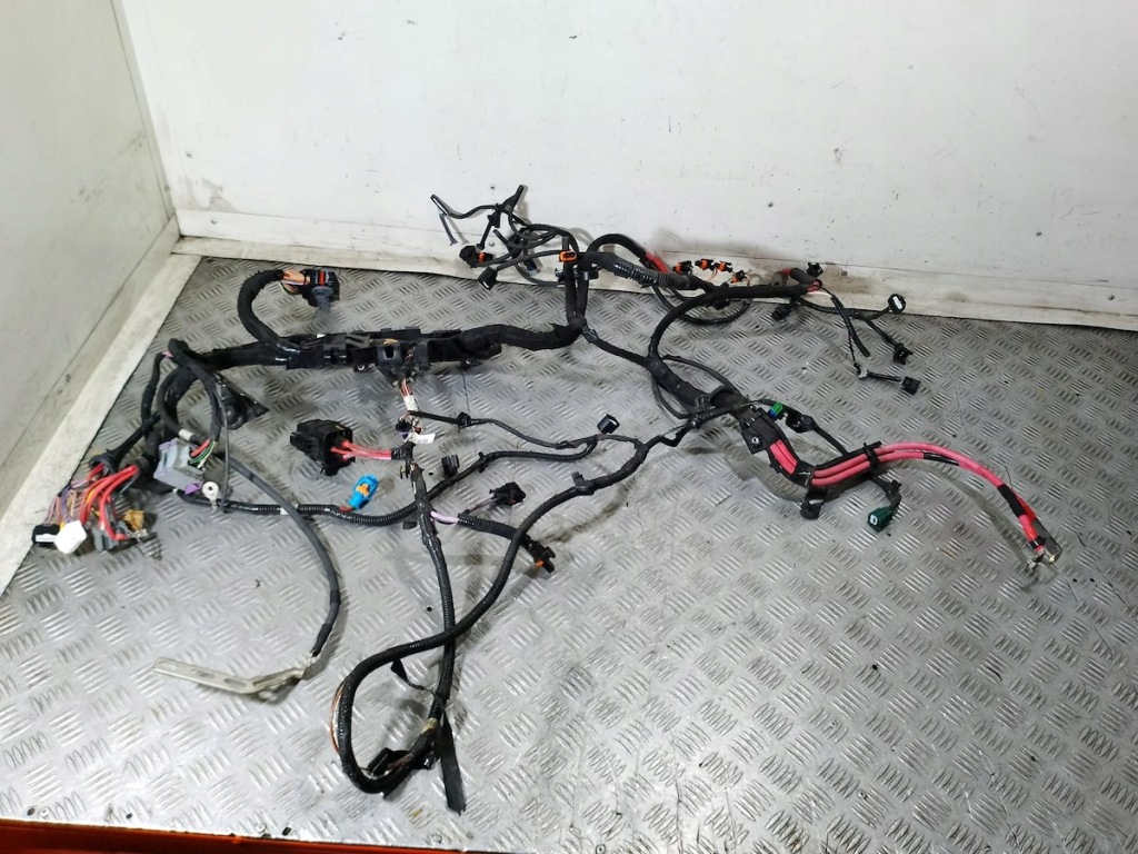 фото №4, Електропроводка, джгут автомобіля renault scenic iii 1.9 dci