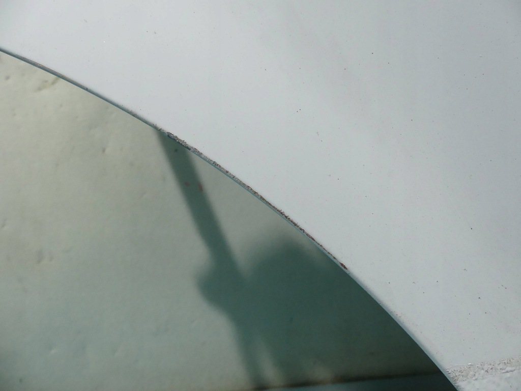 фото №13, Двері перед ліва opel movano i master ii