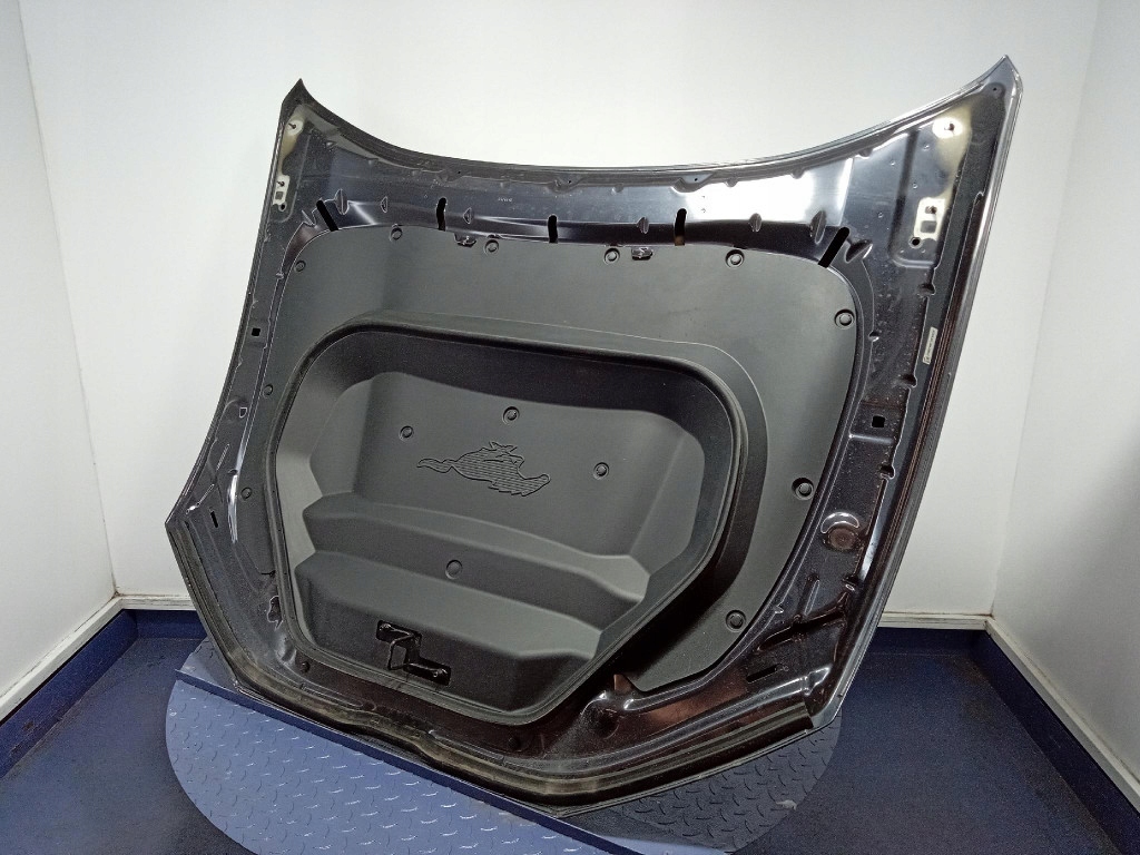 фото №11, Ford mustang mach-e капот крышка перед