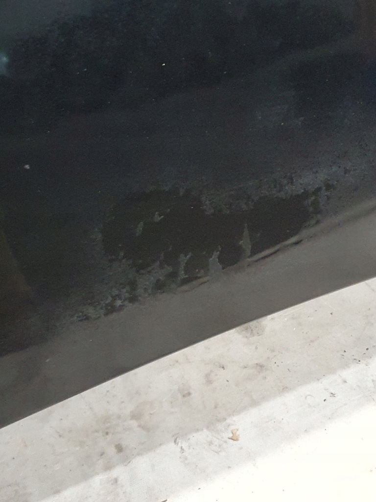 фото №10, Капот audi a6 c5 kombi k: ly9b 02r.