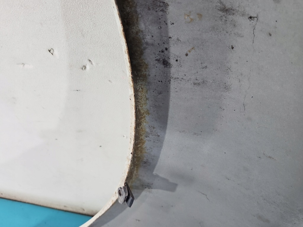 фото №6, Крыло перед правый renault koleos i 08-11 белый teqxa