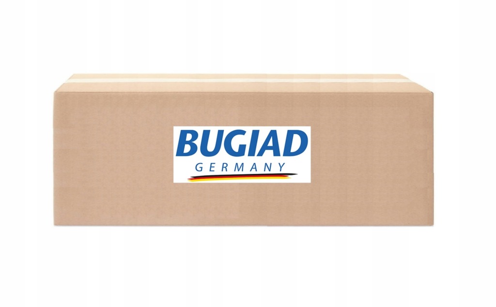 фото №1, Шланг интеркулер bugiad 81916