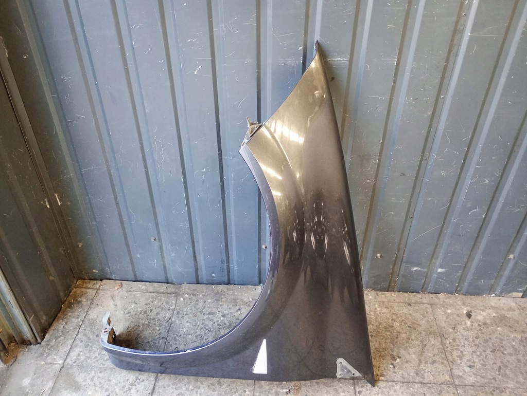 фото №1, Крила лівий перед megane ii te866