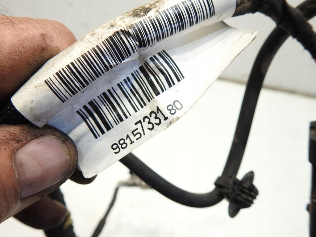 Джгут електропроводка акумулятор peugeot 208 1.5 blue hdi 9815733180 Київ