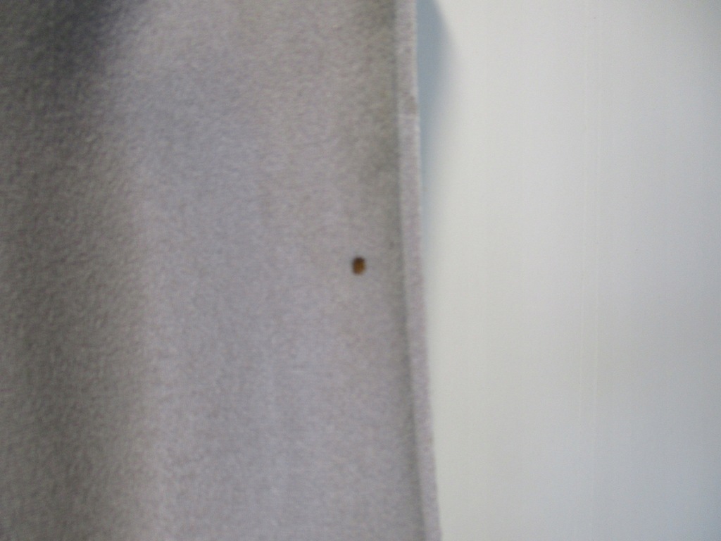 фото №5, Honda accord vi хэтчбек потолок люк