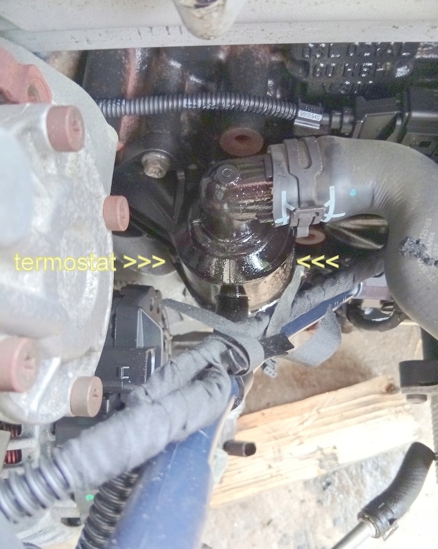 Cay 1.6 tdi двигатель комплектный  seat leon skoda octavia vw golf caddy Оригинал