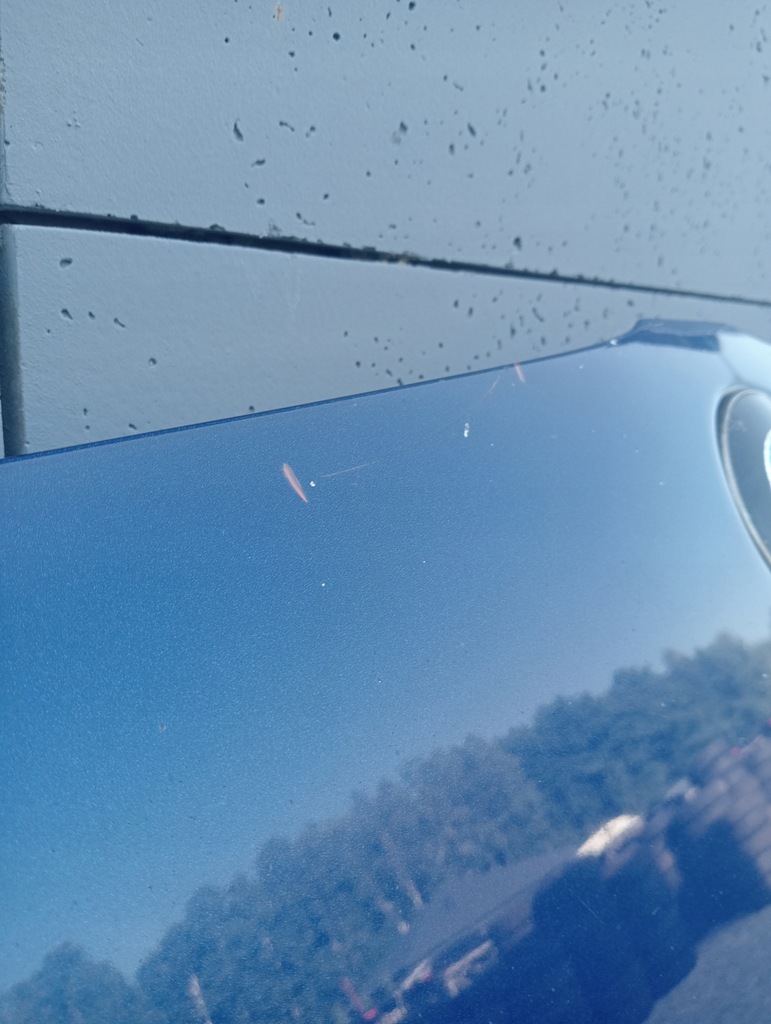 фото №6, Капот bmw 3 e92 e92 381 lemans blau