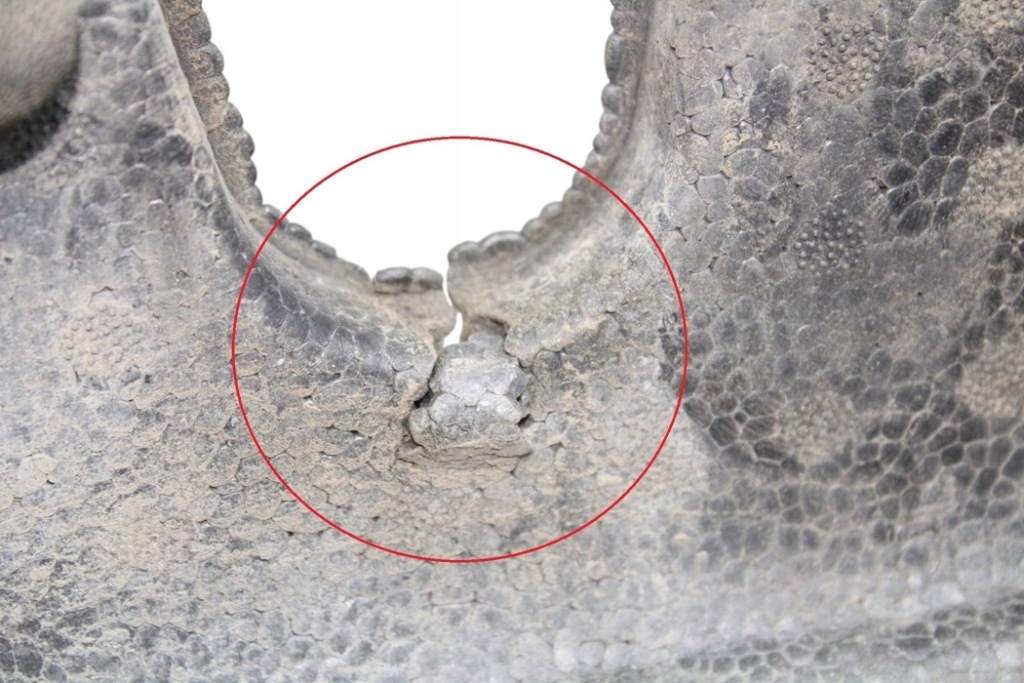 фото №10, Абсорбер заднього бампера land rover discovery iv l319 ah2217e899aa 3.0l