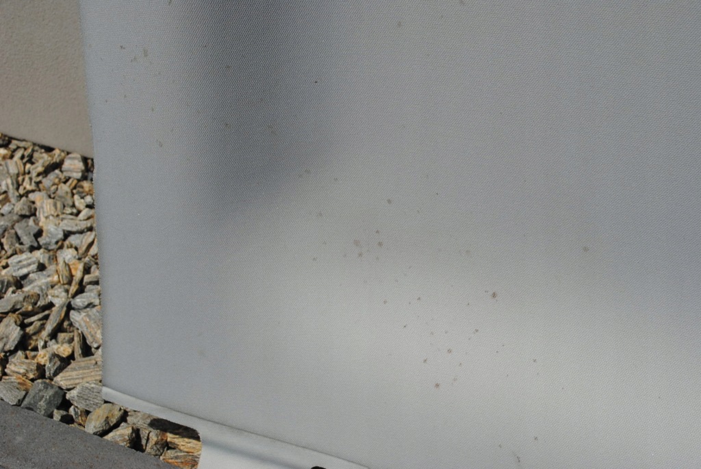 фото №7, Потолок потолок светлый skoda octavia ii lift kombi