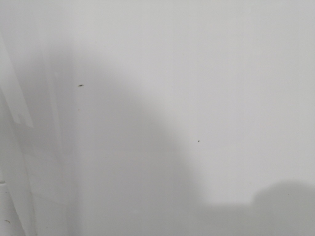 фото №6, Капот mercedes b klasa w247 hal 8741