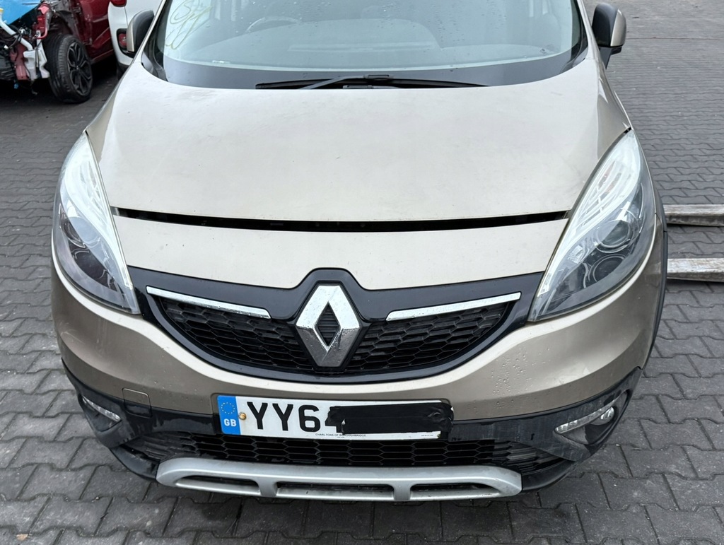 фото №9, Scenic iii 3 x-mod дверь левая полный цвет tehnp