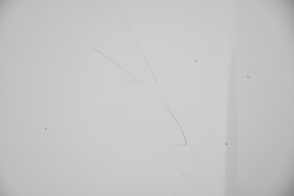 Капот крышка двигателя lexus is 2 xe20 Недорого