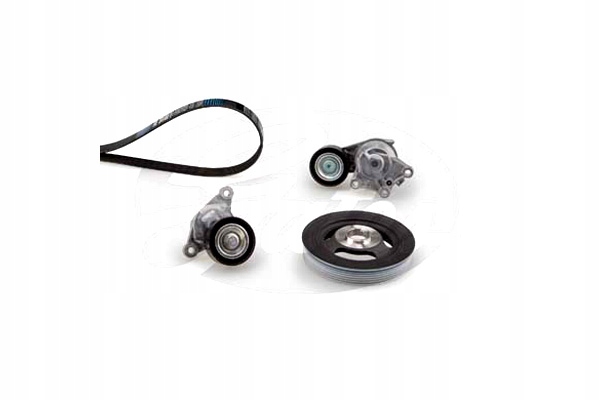 Gates k046pk1020est набір ремінь клиновий багаторучейковий Зі Шроту